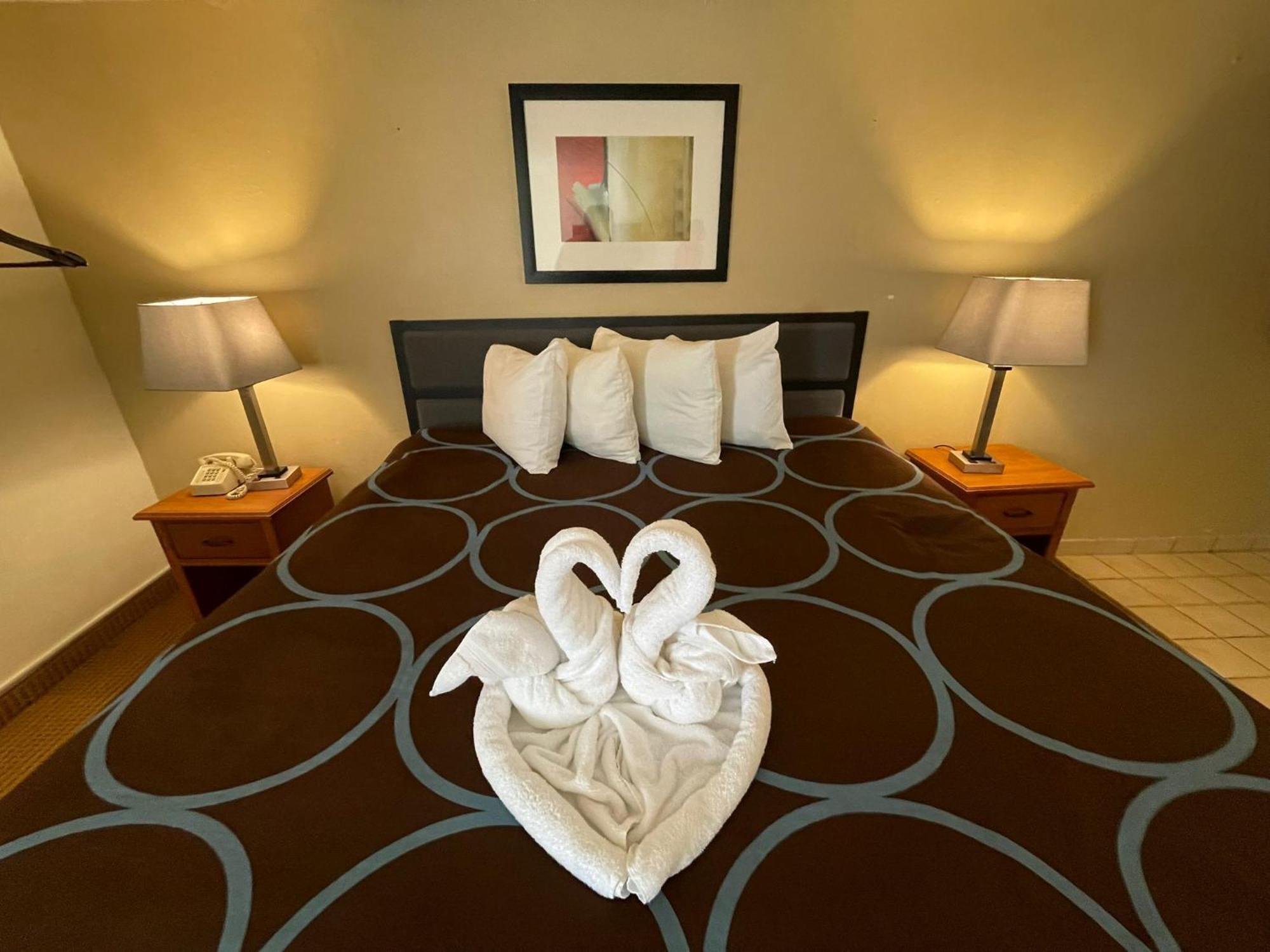 Hotel Super 8 By Wyndham Williston Nd Extérieur photo